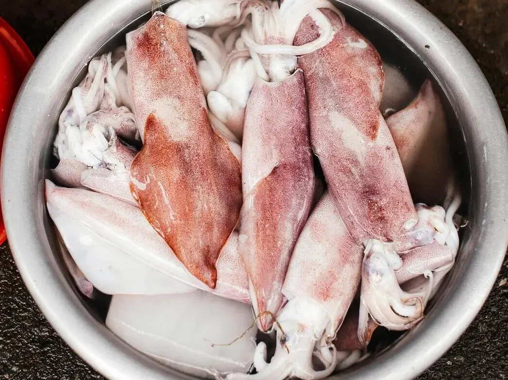 Više ulovljenih lignji u zdjeli nakon lova panulom i lignjaricama.