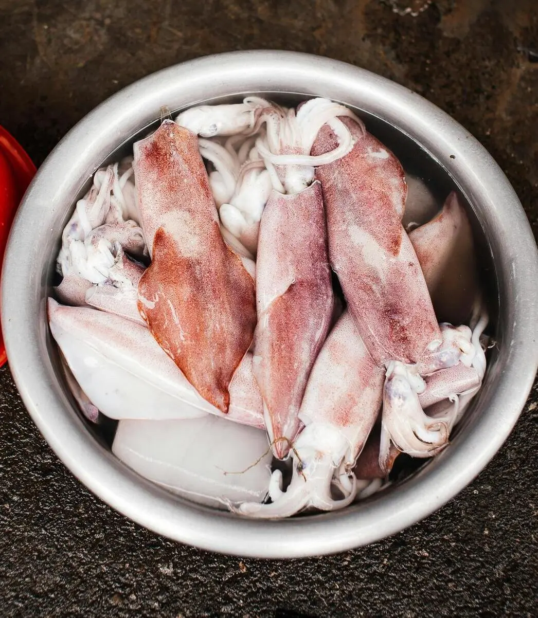 Više ulovljenih lignji u zdjeli nakon lova panulom i lignjaricama.