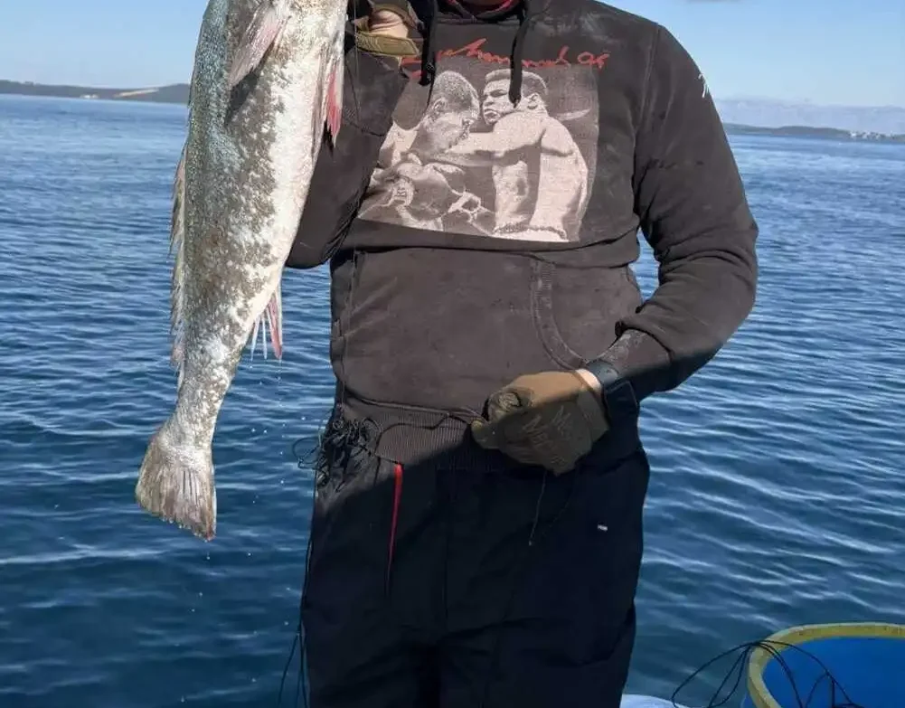 ribolovac na brodu drži ulovljenu ribu parangalom Ižanka Zadar