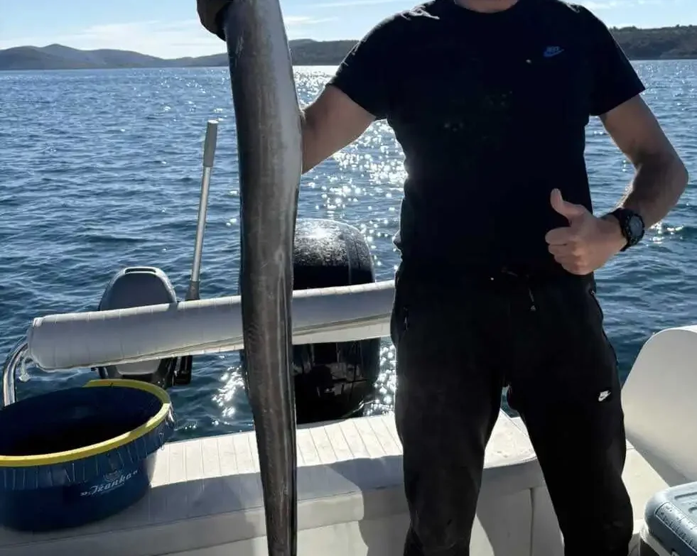 Ribar na brodu drži velikog ugora ulovljenog parangalom brenda Ižanka-Zadar na Jadranu