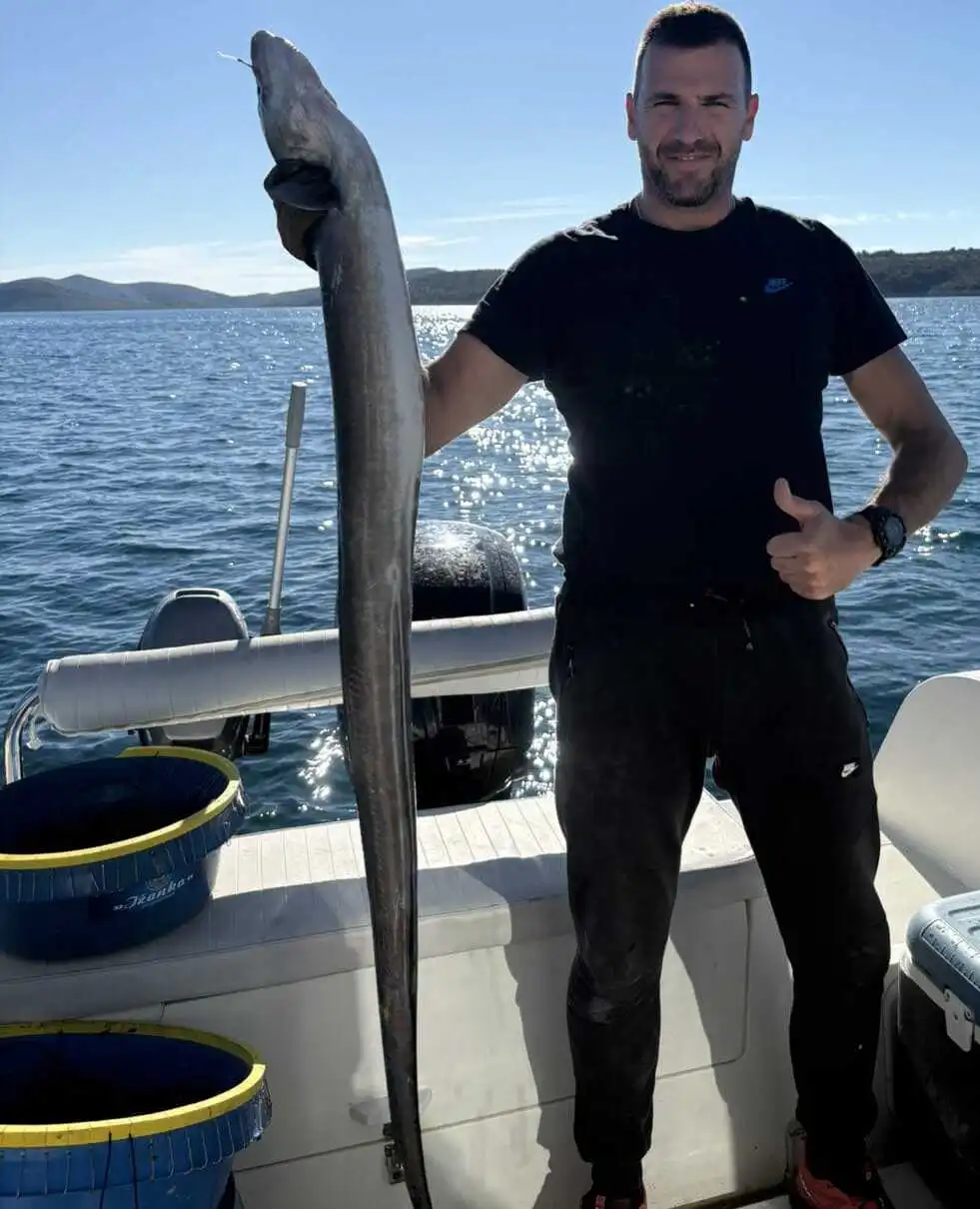 Ribar na brodu drži velikog ugora ulovljenog parangalom brenda Ižanka-Zadar na Jadranu